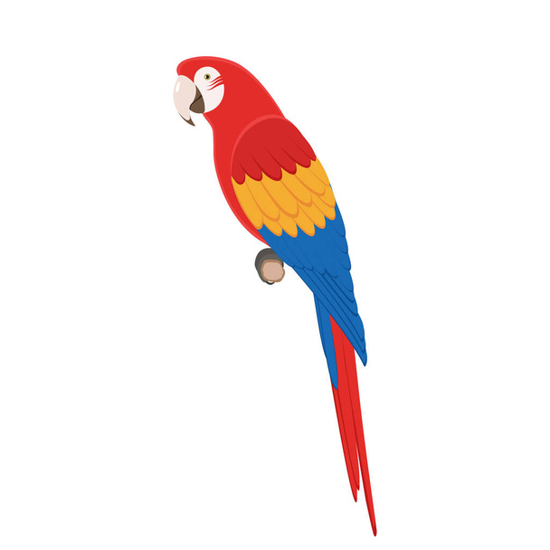 Macaw parrot sitting on a branch - Vektor, obrázek