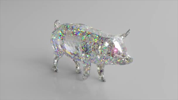 Walking diamond pig. The concept of nature and animals. Low poly. White color. 3d animation of seamless loop - Footage, Video