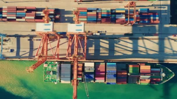 Załadunek kontenera z żurawiem portalowym w terminalu ładunkowym - Materiał filmowy, wideo