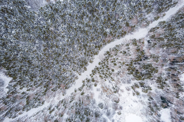 Aerial view of the road in the winter forest with high pine or spruce trees covered by snow. Driving in winter. Natural winter landscape from air. Forest under snow a the winter time. - Fotoğraf, Görsel