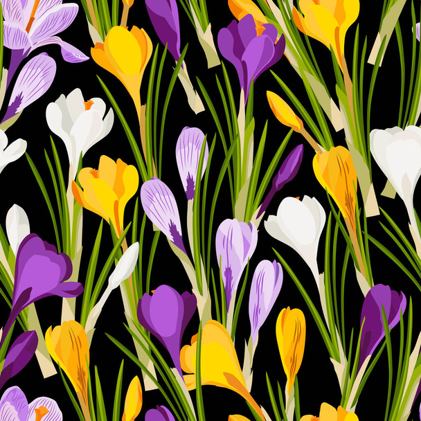 Krokusse nahtloses Muster, Frühlingshintergrund, Blumen auf schwarzem Hintergrund. Hintergrund für die Gestaltung von Kleidung, Hintergrund für Packpapier, Muster für Stoff. Vektorbild. - Vektor, Bild