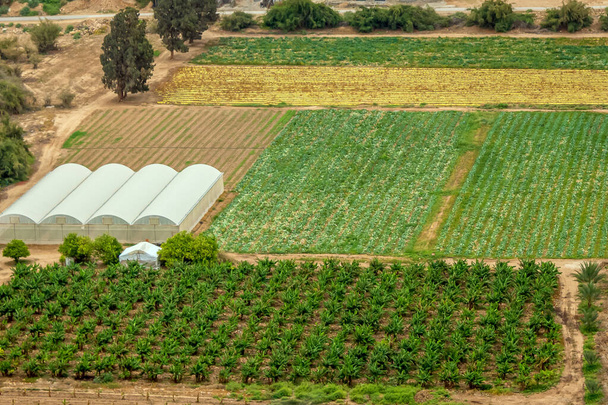 Oasis en el desierto. Plantación de plantas frutales en suelos arenosos e invernaderos. Jericó, Israel. Vista desde arriba. - Foto, Imagen