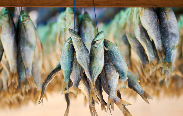 Catch of the day. Closeup shot of dead fish hanging in bunches. - Фото, зображення