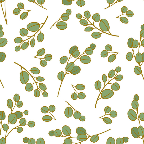 Nahtloses Muster mit Eukalyptus-Silberdollar-Zweig auf weißem Hintergrund. Design für Stoffe, Tapeten, Packpapier, Musterfüllungen, Textilien usw.. - Vektor, Bild