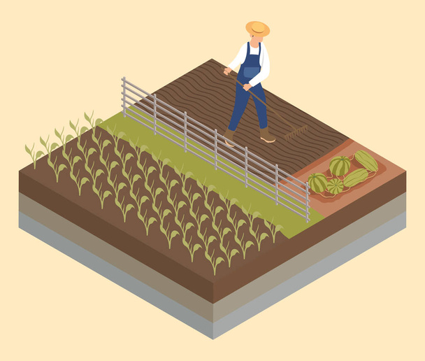 isometric farmer cultivating - Vector, Image