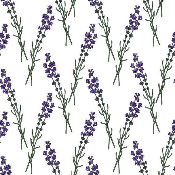 seamless pattern with flowers of lavender - Fotoğraf, Görsel