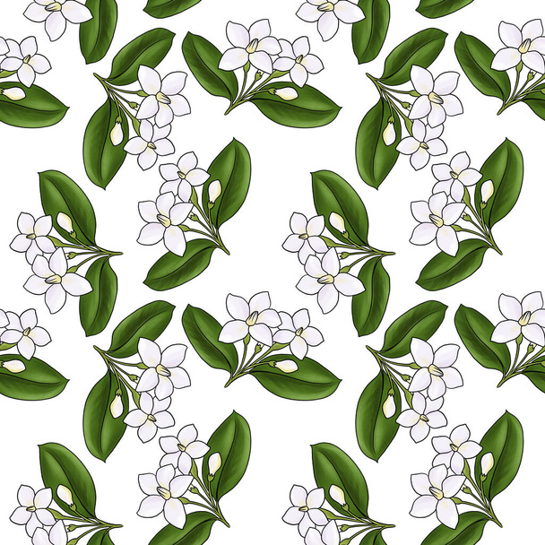 seamless pattern with flower of Wrightia religiosa - 写真・画像
