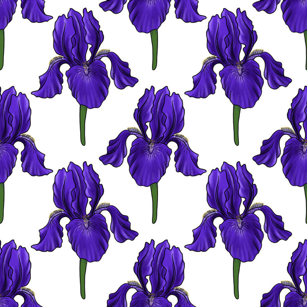 seamless pattern with flower of iris - Foto, afbeelding