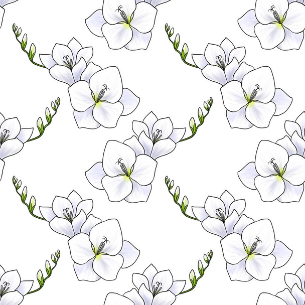 seamless pattern with flowers of freesia - Fotoğraf, Görsel