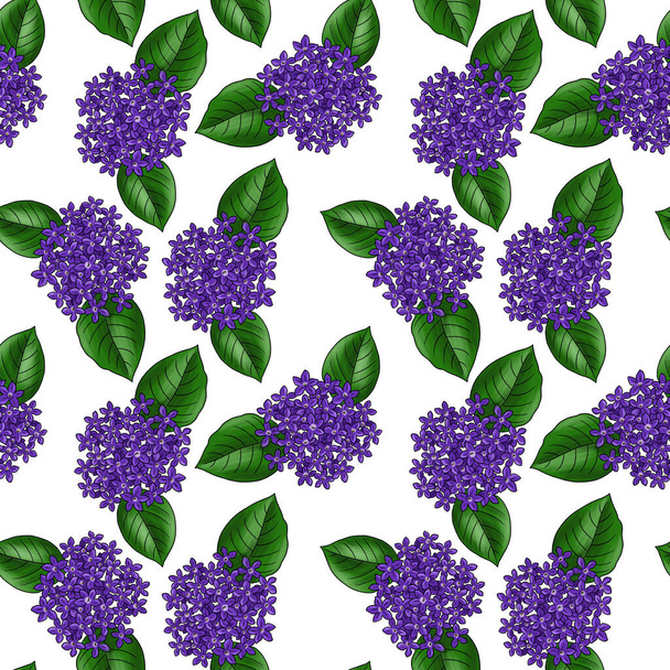 seamless pattern with flower of heliotrope - Фото, изображение