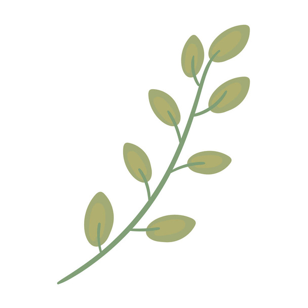 green leaves branch design - Vettoriali, immagini