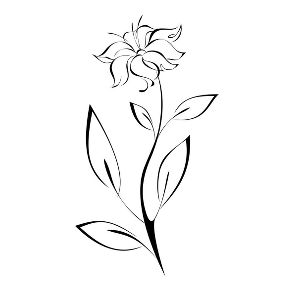 stylized flower on stem with leaf in black lines on white background - Vektör, Görsel