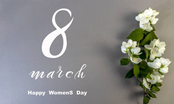 International Women's Day March 8! Flat Lay, banner, greeting card with flowers from March 8, Beautiful White Jasmine Flowers - 写真・画像