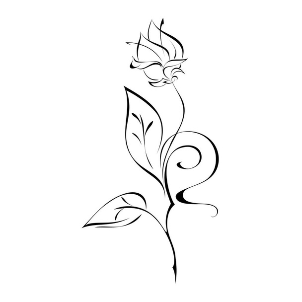 one flower Bud on stem with leaves and curls in black lines on white background - Vektor, kép