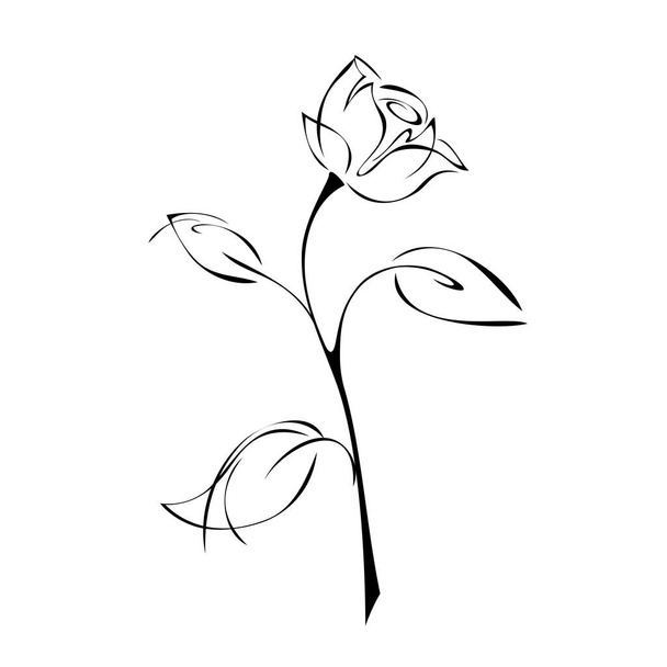 one stylized rose on a stem with leaves on a white background - Vektör, Görsel