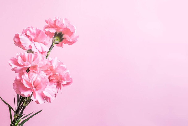Pink carnation flowers on pink pastel background, copy space. Valentines day, mother's day, invitation or greeting card, flat lay, top view. - Φωτογραφία, εικόνα