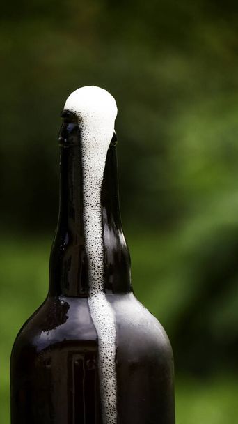 beer bottle with green grass and a glass of water - Foto, afbeelding