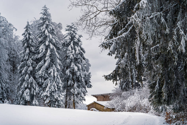 beautiful winter landscape with snow covered trees - Foto, Bild