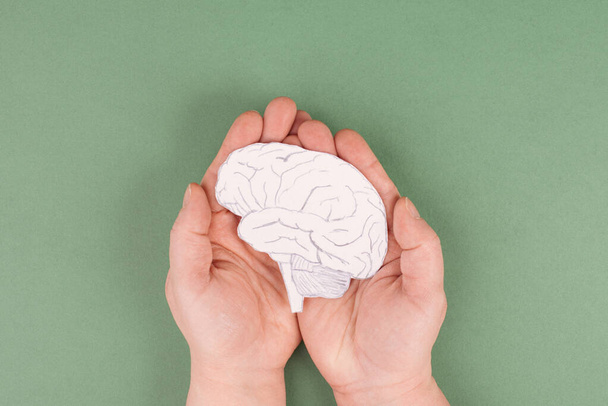 human brain with a green background - Foto, Imagem