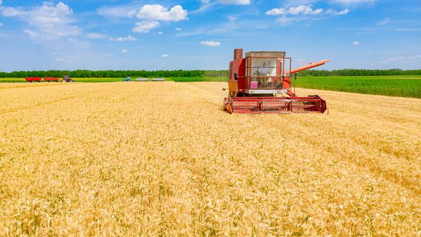 農業の収穫者の空中ビューは、切断として結合し、農場の畑で成熟した小麦を収穫します。2つのトレーラーを持つトラクターは輸送を待っています. - 写真・画像