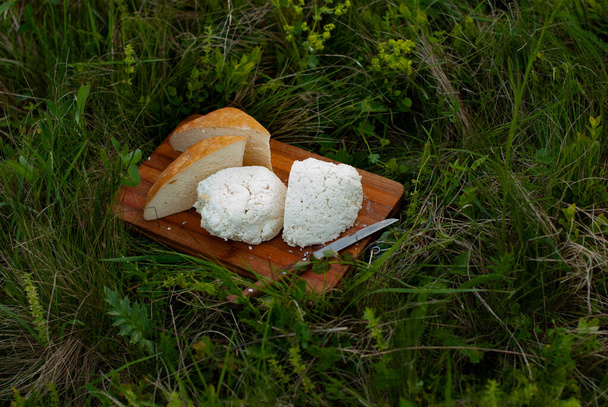 Экологический продукт. Сыр горный, козий и овечий, натуральный продукт высокогорных лугов. Кусочки сыра на косилке в траве. Украинские Карпаты - Фото, изображение