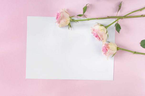Διάταξη για συγχαρητήρια για τις διακοπές. Ημέρα της Μητέρας, Ημέρα της Γυναίκας, γάμος, γενέθλια. Λεπτά τριαντάφυλλα σε ροζ φόντο με ένα λευκό φύλλο χαρτί. Κάτοψη, επίπεδη lay με χώρο αντιγραφής για κείμενο - Φωτογραφία, εικόνα