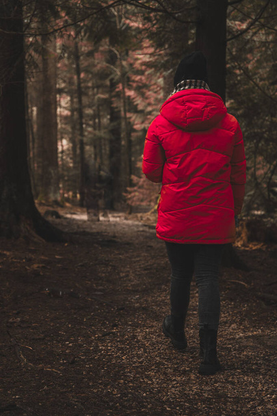 a young woman in a red raincoat walks in the forest - Foto, imagen