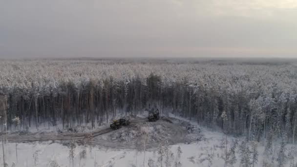 Aerial näkymä metsänhakkuukone ja huolitsija ajaa talven metsään. Pilvinen talvipäivä. Lunta joka puolella. Lähellä sahapuita. Puunkorjuu. - Materiaali, video