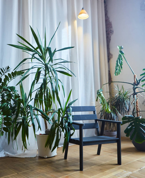 Una silla negra en el interior de estilo loft. Las plantas decoran la habitación. - Foto, Imagen