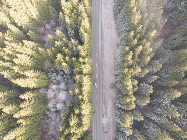 aerial view of the road in the forest - Fotó, kép