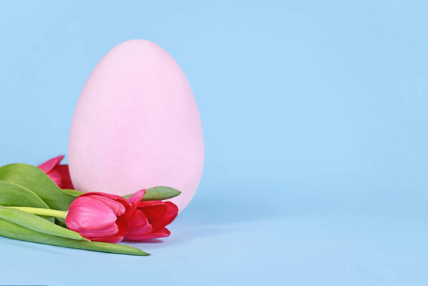 Весняні квіткові тюльпани та велике рожеве пасхальне яйце на пастельному синьому фоні з місцем для тексту
 - Фото, зображення