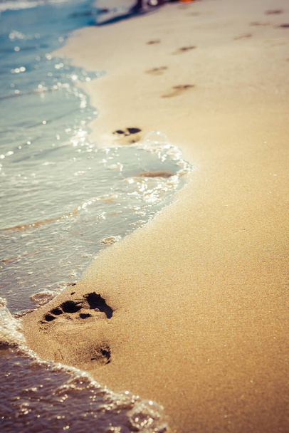 footprints on beach in summer - Photo, image