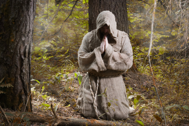 mnich w Mglisty las - Zdjęcie, obraz
