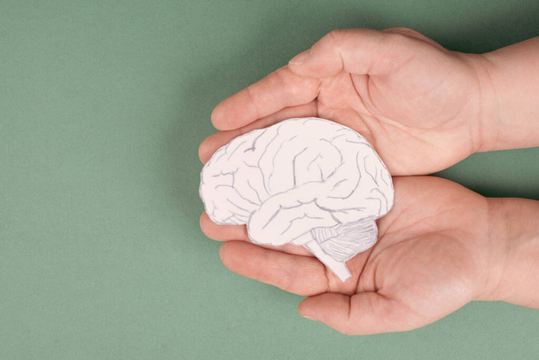 human brain with a hand drawn in a female hands - 写真・画像