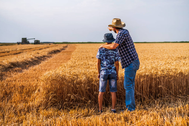 Los agricultores están de pie en su campo de trigo mientras se realiza la cosecha. Padre le está enseñando a su hijo sobre agricultura. - Foto, Imagen
