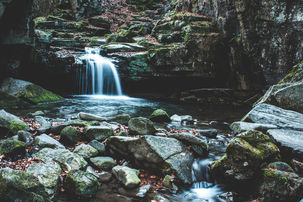 beautiful waterfall in the forest - Foto, immagini