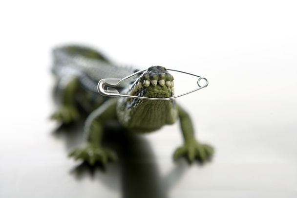 Toy cocodrile, aligator with pin closing his jaws - Foto, afbeelding