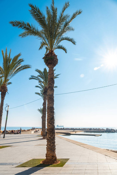 Beach with palm trees in the coastal town of Torrevieja next to the Playa del Cura, Alicante, Valencian Community. Spain, Mediterranean Sea on the Costa Blanca - Fotografie, Obrázek