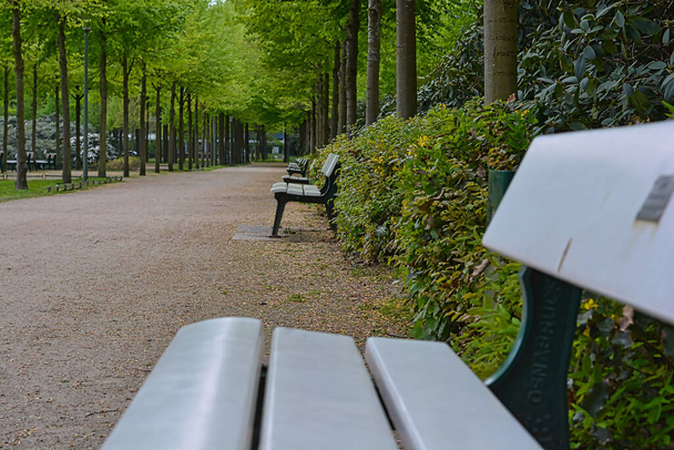 park bench in the city - Foto, Bild
