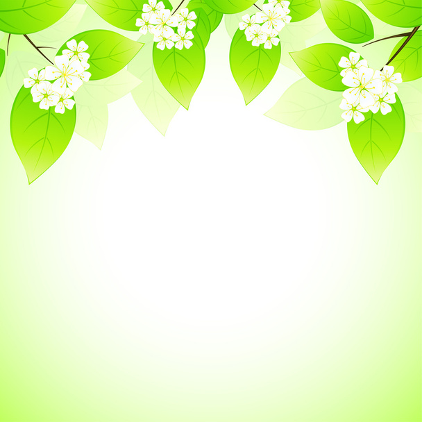 Spring background - Vector, imagen