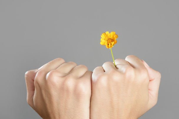 Concept of plant growing from woman hands - Fotografie, Obrázek