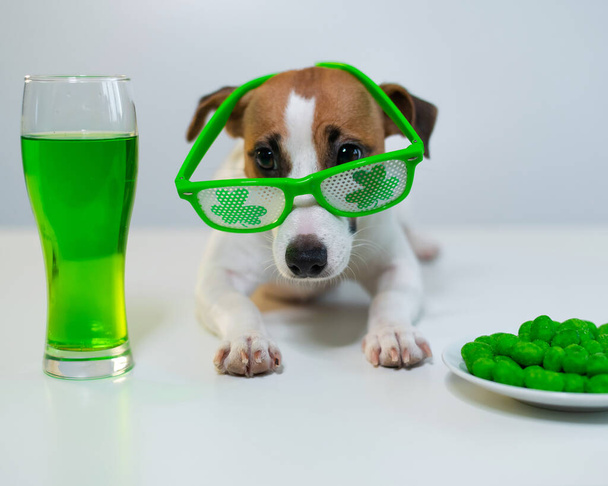 Dog with a mug of green beer and glazed nuts in funny glasses on a white background. Jack russell terrier celebrates st patricks day - Foto, Imagem
