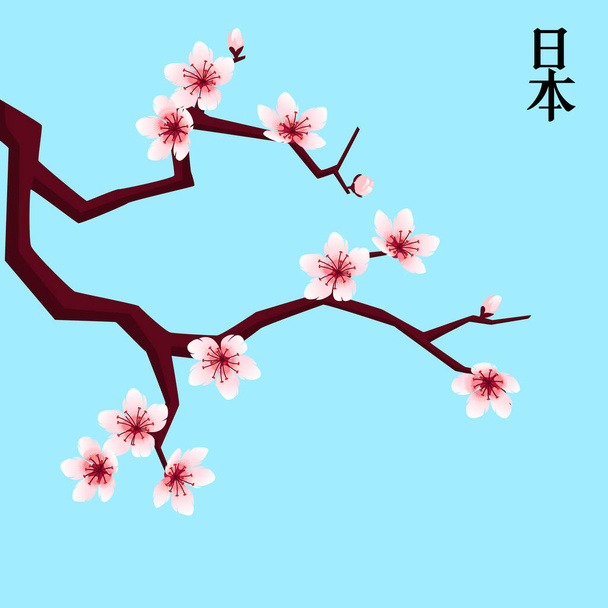 Cherry Blossom Tausta Vaaleanpunainen kirsikka kukkii oksalla.Cherry kukka oksa sinisellä pohjalta.Kevät mood.The kirjoitus oikealla Japani - Vektori, kuva