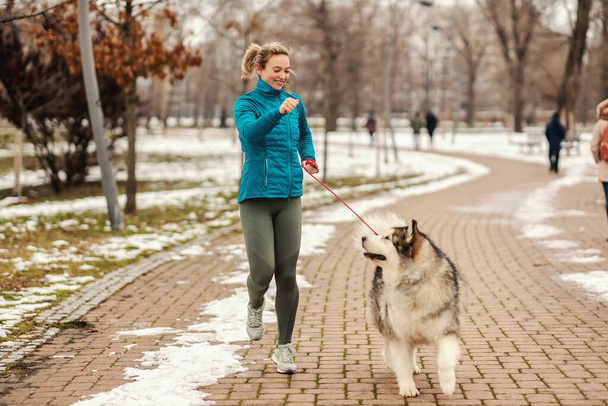 Woman playing with her dog while walking in park on snowy winter day. Pets, snow, friendship, weekend activities - Photo, Image