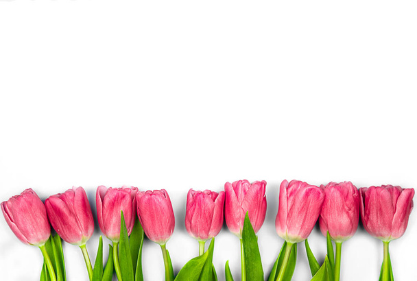 Pink tulips flowers on a white background. Concept - congratulations on international womens day, birthday, happy moms day, pleasant surprise, spring, spring flowers - Fotoğraf, Görsel