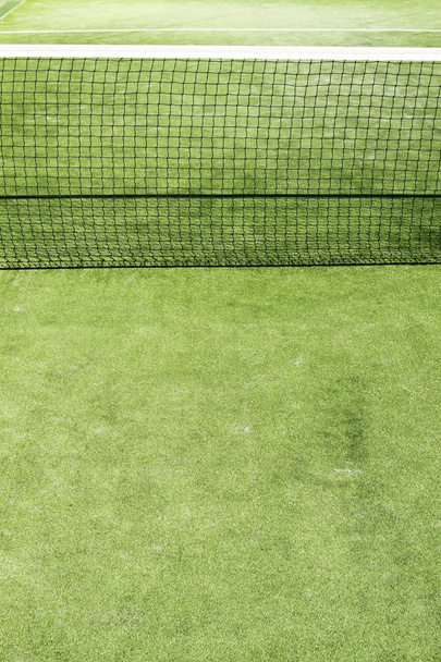 Paddle tennis green grass camp field texture - Photo, Image