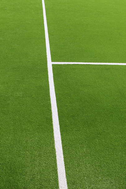 Paddle tennis green grass camp field texture - Photo, Image