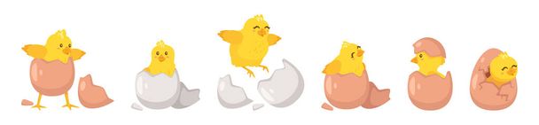 Hatching process. Vector illustration isolated on white - Vector, Image