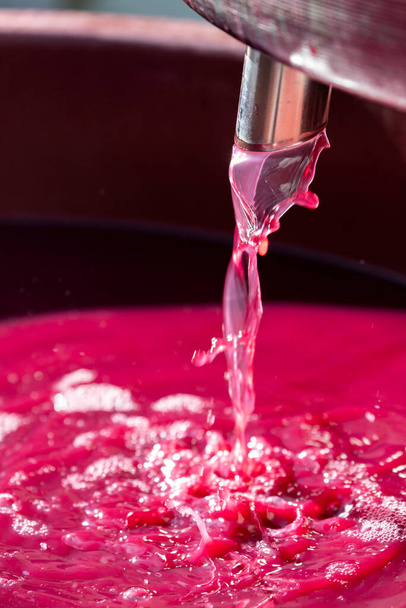 fabricação de vinho tinto por lagar - Foto, Imagem