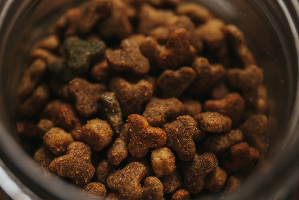 bowl of dry dog food - Zdjęcie, obraz